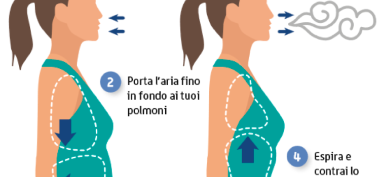 La respirazione diaframmatica La respirazione diaframmatica